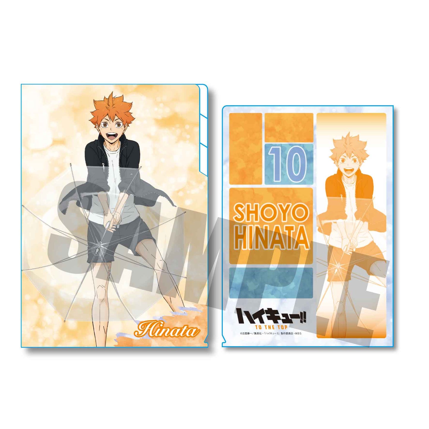 ハイキュー!! TO THE TOP_クリアファイル3ポケット /日向 翔陽(rain ver.)