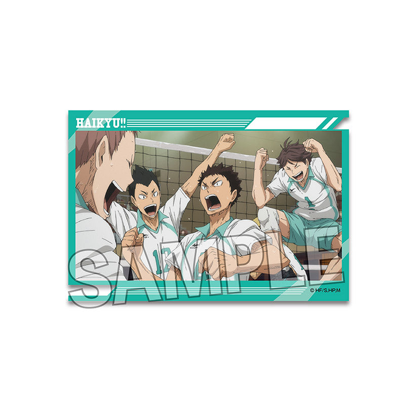 ハイキュー!!_スタパネ ミニ 17