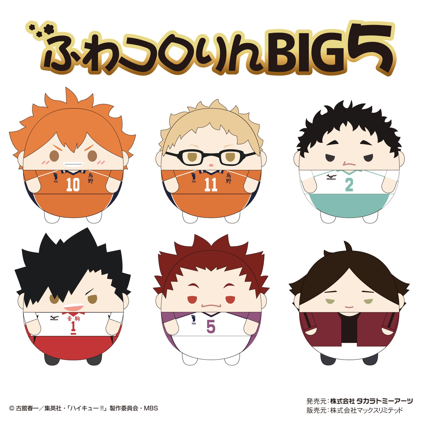 ハイキュー!!_ふわコロりんBIG5 E 天童覚