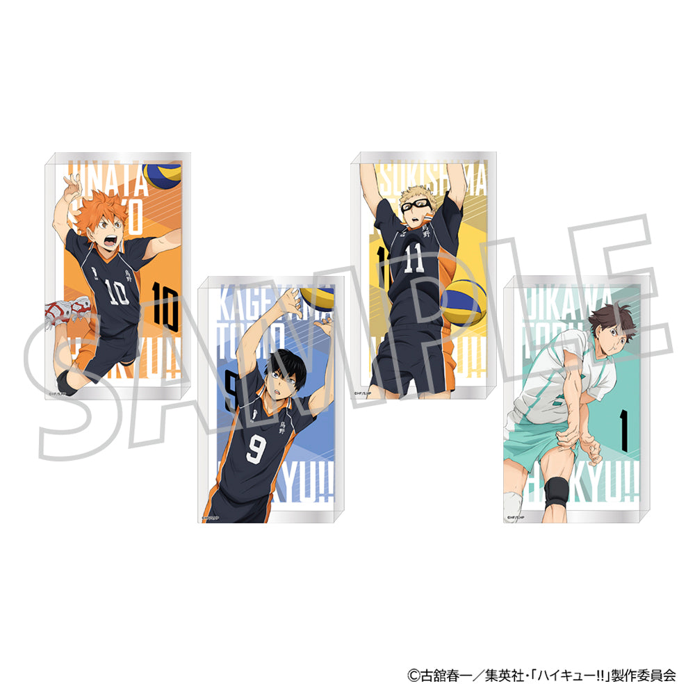 ハイキュー!!_ノーブルアート/日向翔陽