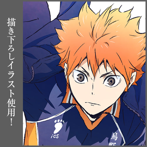 ハイキュー!!_日向翔陽 B2タペストリー Ver.1.0