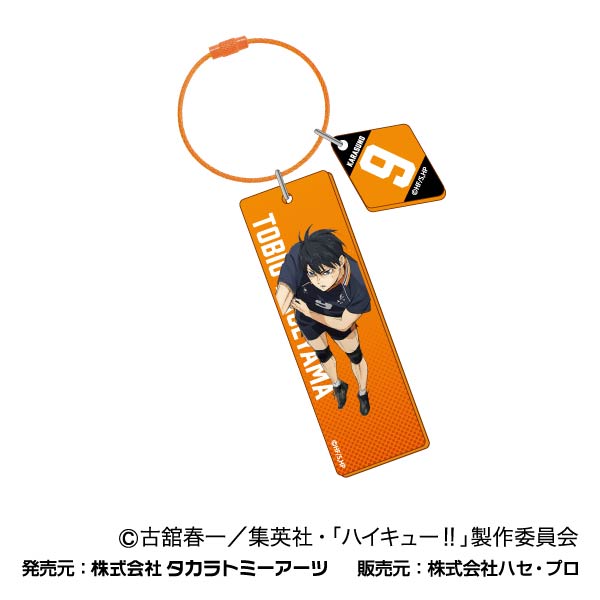 劇場版ハイキュー!! ゴミ捨て場の決戦_ワイヤープレートキーホルダー 02 影山飛雄