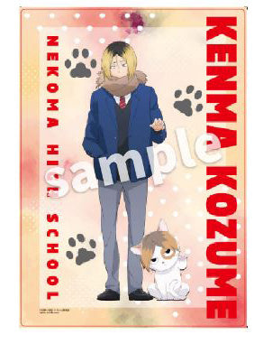 ハイキュー!!_playingマスコットクリアポスター 孤爪研磨