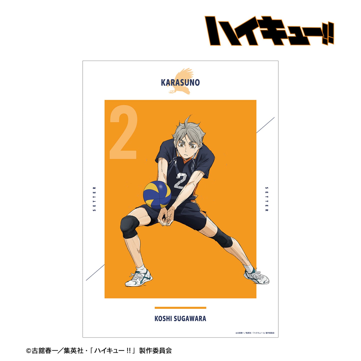 劇場版ハイキュー!! ゴミ捨て場の決戦_菅原孝支 A3マット加工ポスター