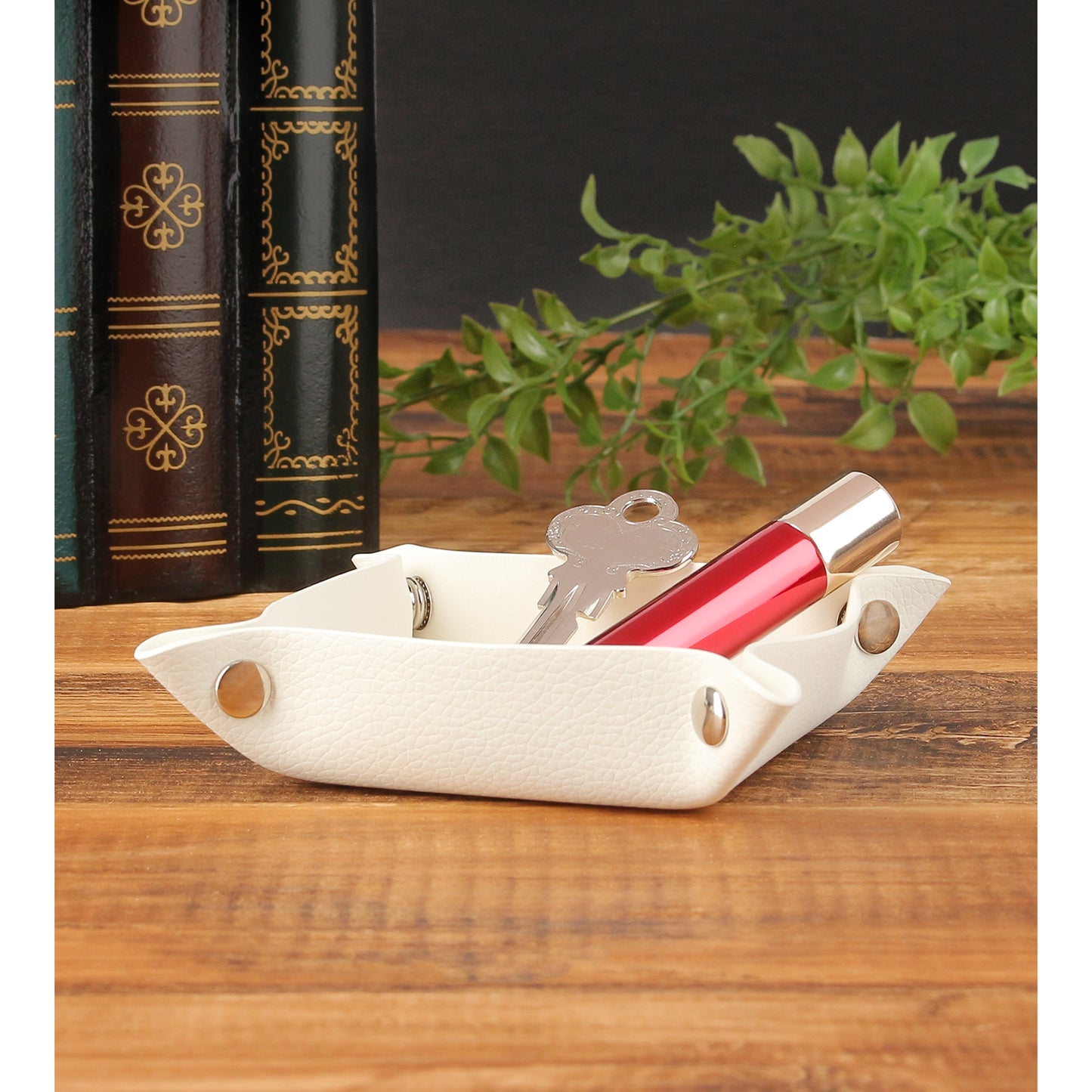 ブルーロック_氷織 羊&烏 旅人 モチーフ PUレザーマルチトレー