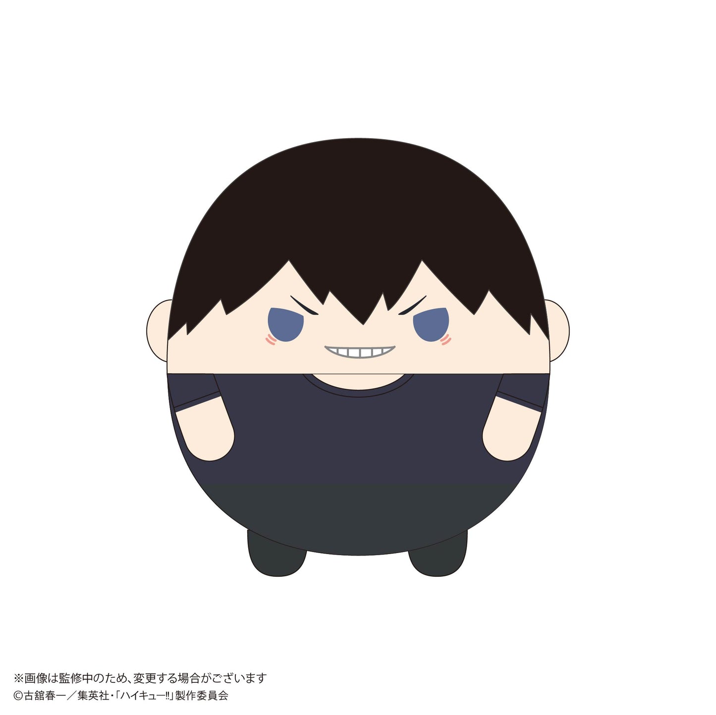 ハイキュー!!_HQ-79 ふわコロりんMsize10 A 影山飛雄