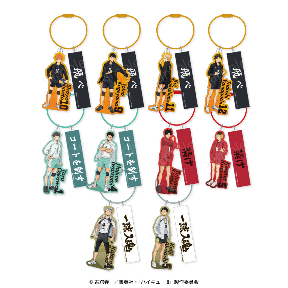 ハイキュー!!_ランダムワイヤーキーホルダー【コンプリートBOX/10個入り】