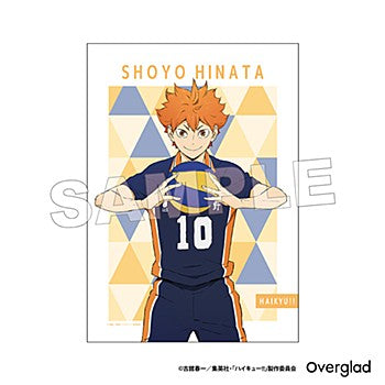 ハイキュー!!_布ポスター パターンアート 日向翔陽