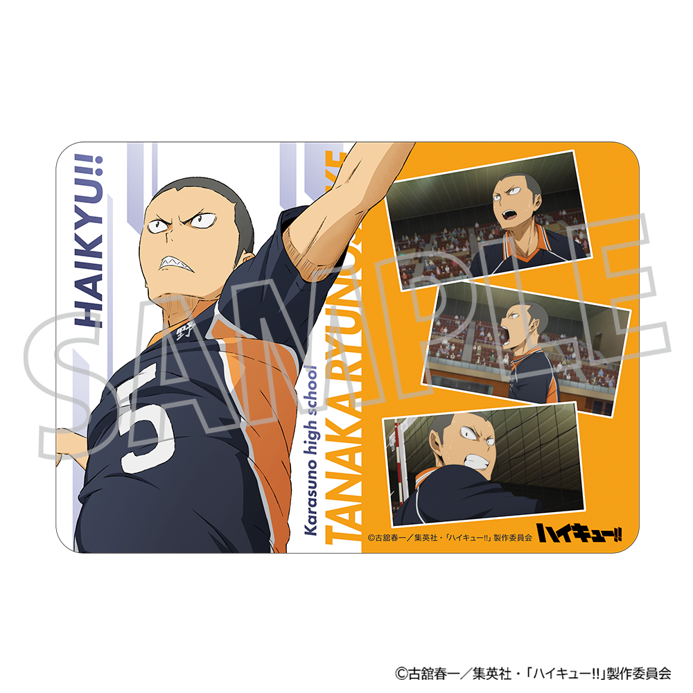 ハイキュー!!_マウスパッド/田中龍之介
