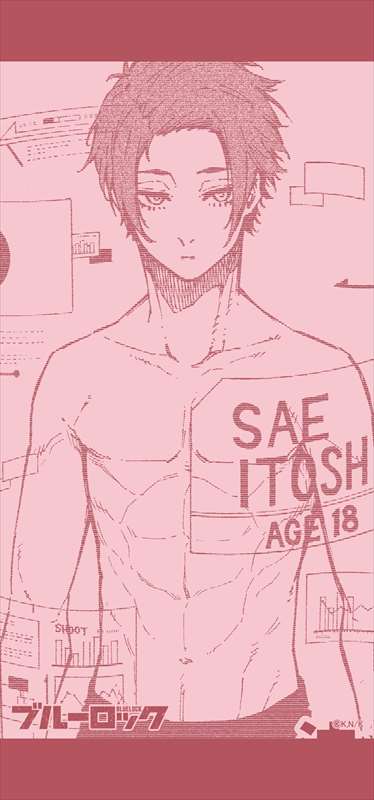 ブルーロック_ミニタペストリー 糸師冴