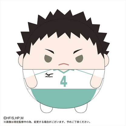 ハイキュー!!_ふわコロりんBIG4 B岩泉一