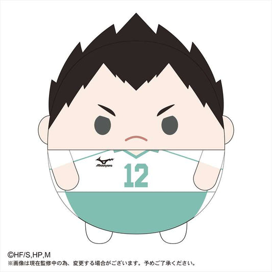 ハイキュー!!_ふわコロりんBIG4 C金田一勇太郎