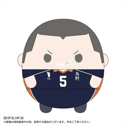 ハイキュー!!_ふわコロりんBIG4 F田中龍之介