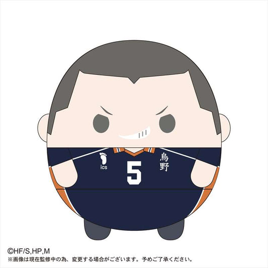 ハイキュー!!_ふわコロりんBIG4 F田中龍之介