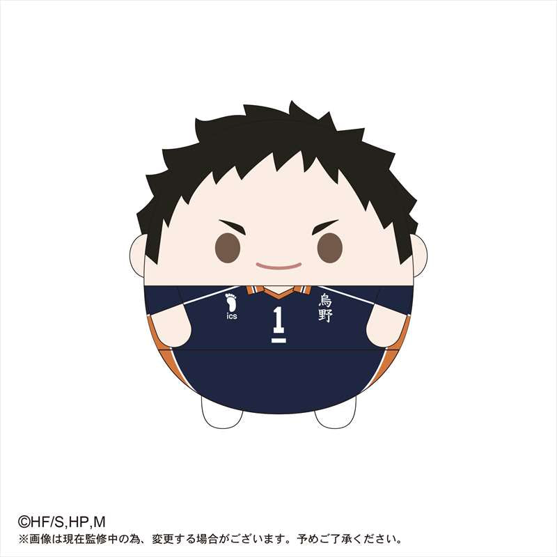 ハイキュー!!_ふわコロりんMsize3 A澤村大地