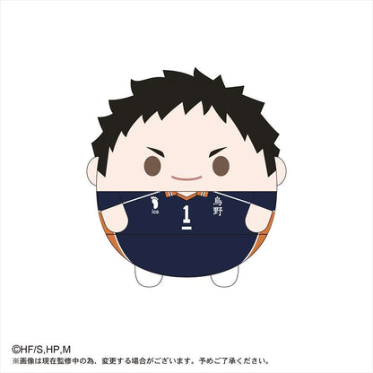 ハイキュー!!_ふわコロりんMsize3 A澤村大地