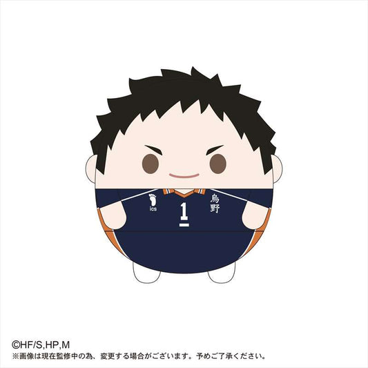 ハイキュー!!_ふわコロりんMsize3 A澤村大地