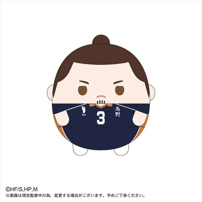 ハイキュー!!_ふわコロりんMsize3 C東峰旭