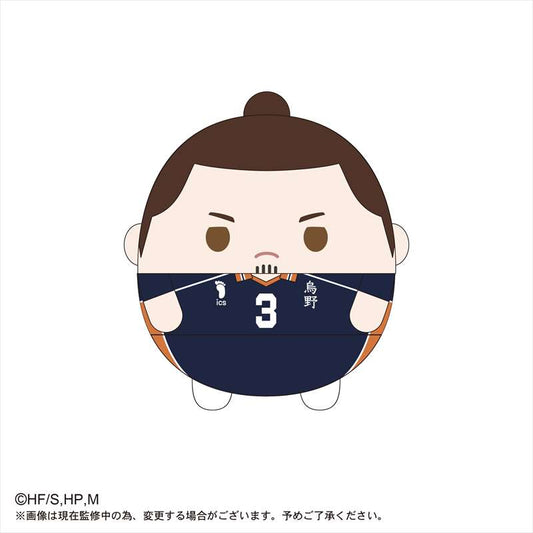 ハイキュー!!_ふわコロりんMsize3 C東峰旭