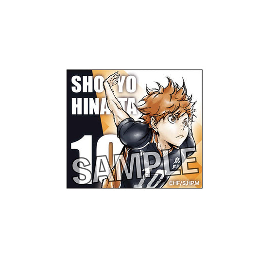 ハイキュー!!_額縁バッジ 激闘!!ver. 日向翔陽