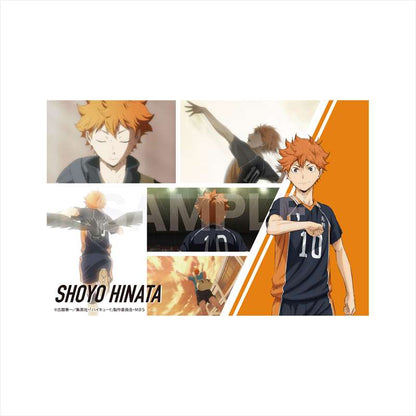 ハイキュー!!_クリスタルアートボード/01 日向翔陽