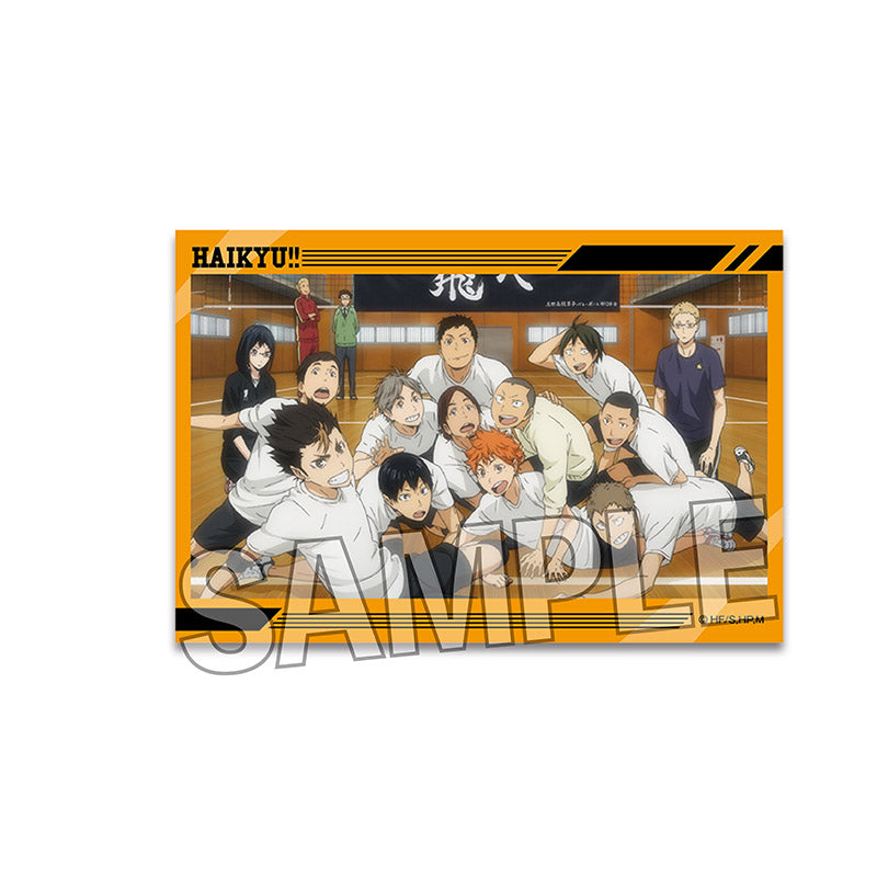 ハイキュー!!_スタパネ ミニ　11