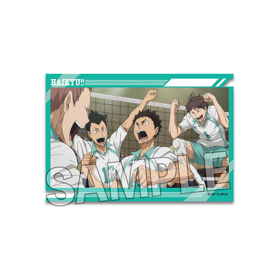 ハイキュー!!_スタパネ ミニ　17