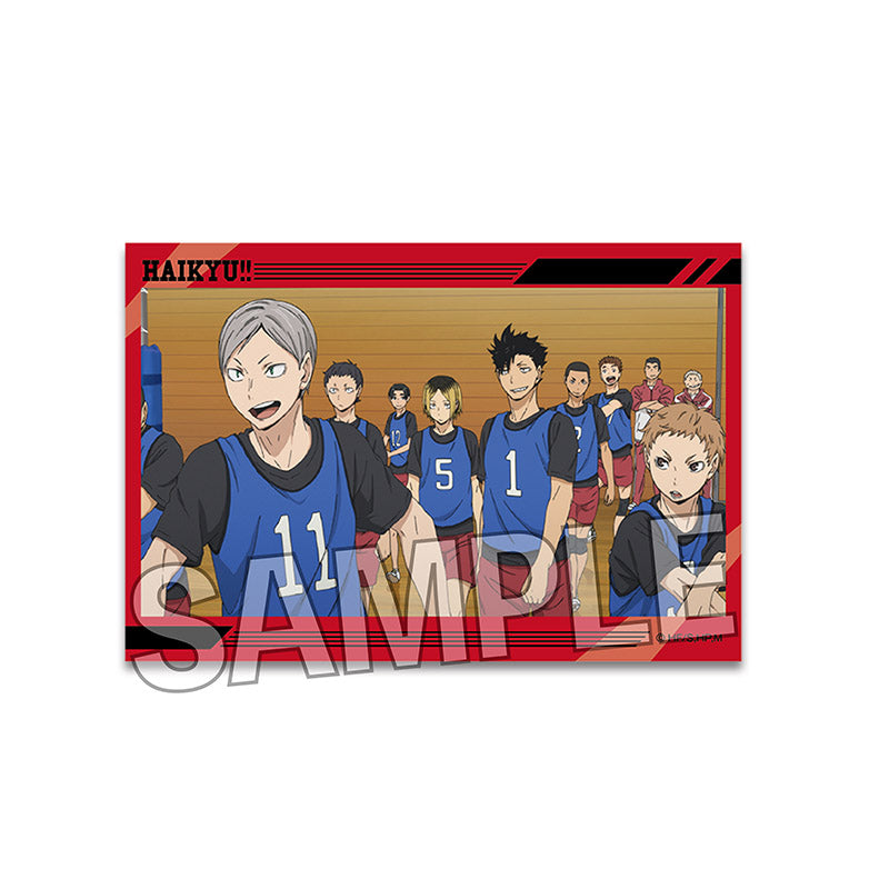 ハイキュー!!_スタパネ ミニ　21