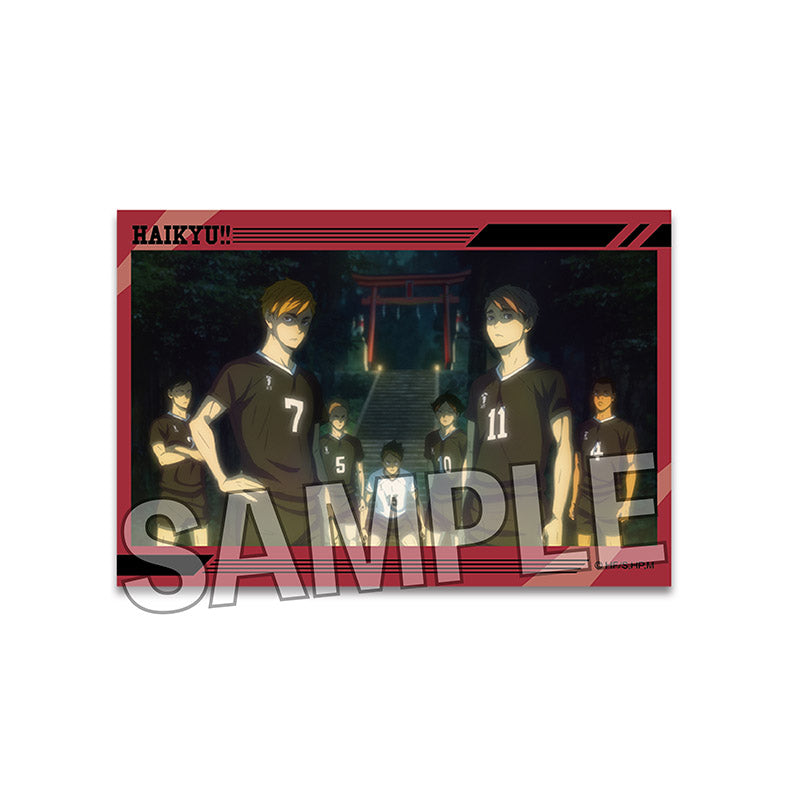 ハイキュー!!_スタパネ ミニ　30