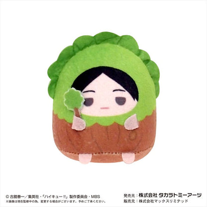 ハイキュー!! てのりんずコレクション2 1BOX