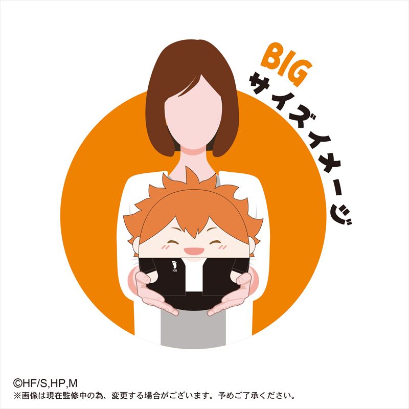 ハイキュー!! ふわコロりんBIG スペシャル F 木兎光太郎