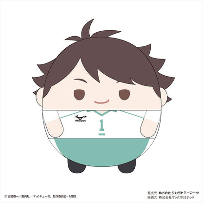 ハイキュー!! ふわコロりんMsize4 A 及川徹