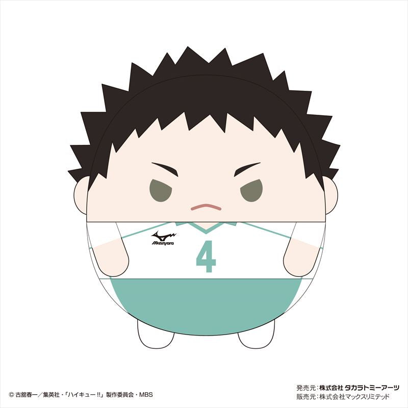 ハイキュー!! ふわコロりんMsize4 B 岩泉一