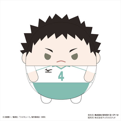 ハイキュー!! ふわコロりんMsize4 B 岩泉一