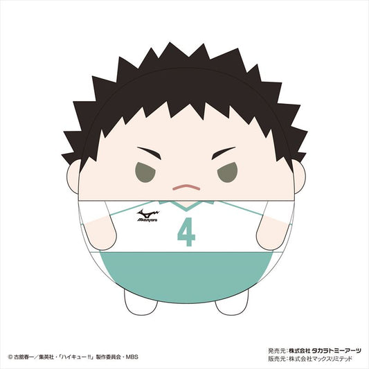 ハイキュー!! ふわコロりんMsize4 B 岩泉一