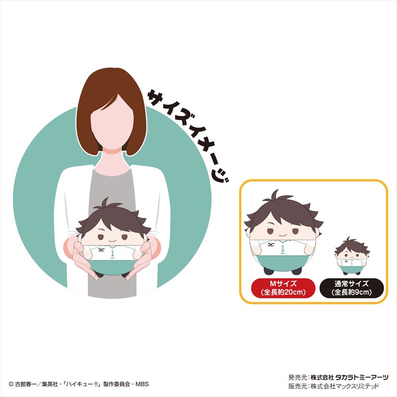 ハイキュー!! ふわコロりんMsize4 B 岩泉一