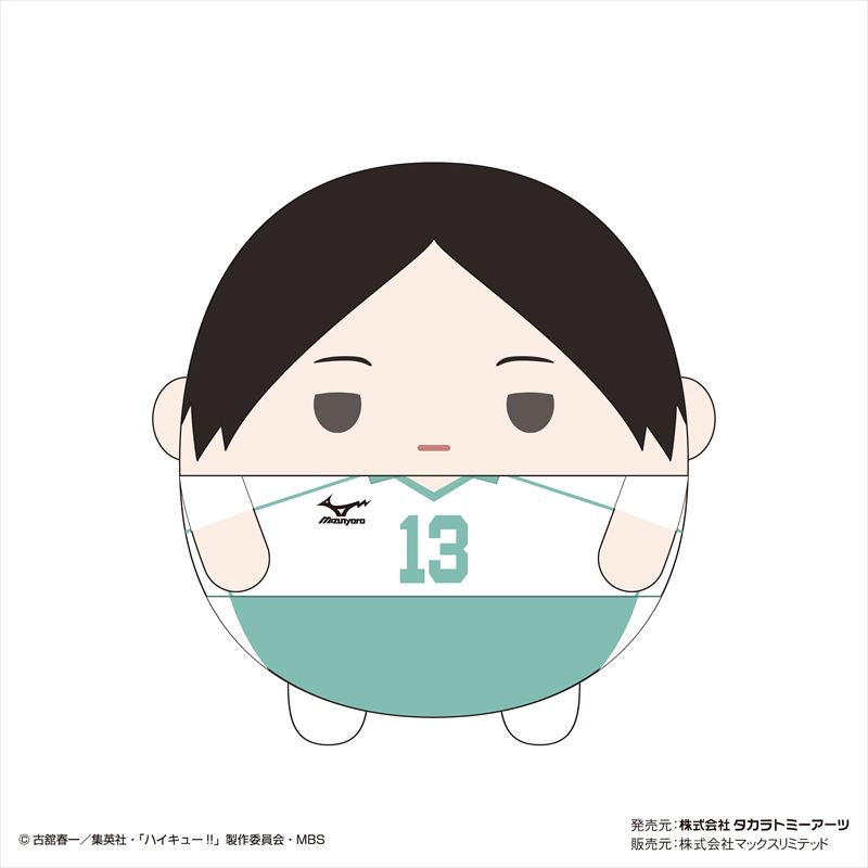 ハイキュー!! ふわコロりんMsize4 D 国見英