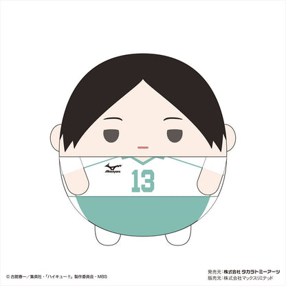 ハイキュー!! ふわコロりんMsize4 D 国見英