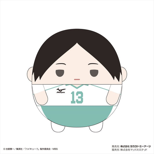 ハイキュー!! ふわコロりんMsize4 D 国見英