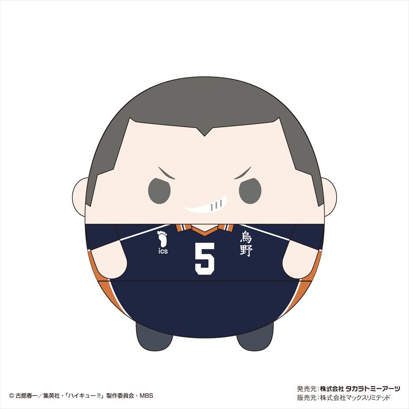 ハイキュー!! ふわコロりんMsize4 F 田中龍之介