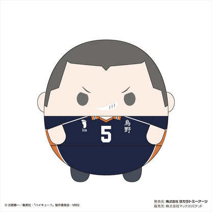 ハイキュー!! ふわコロりんMsize4 F 田中龍之介