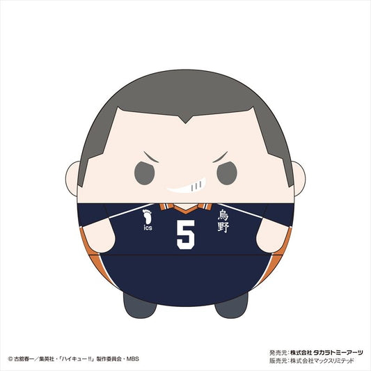 ハイキュー!! ふわコロりんMsize4 F 田中龍之介