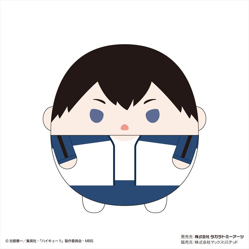 ハイキュー!!_ふわコロりんMsizeSpecial K影山飛雄(北川第一ver.)