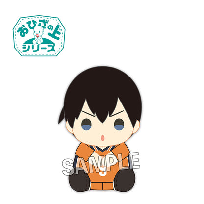 ハイキュー!!　おひざの上シリーズ　影山飛雄