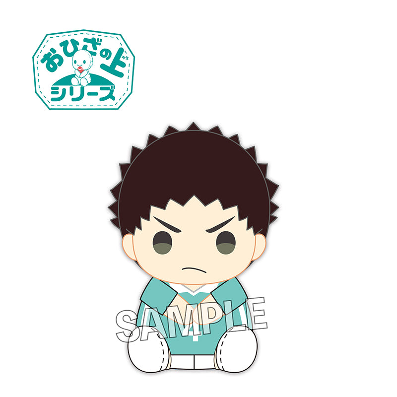 ハイキュー!!　おひざの上シリーズ　岩泉一