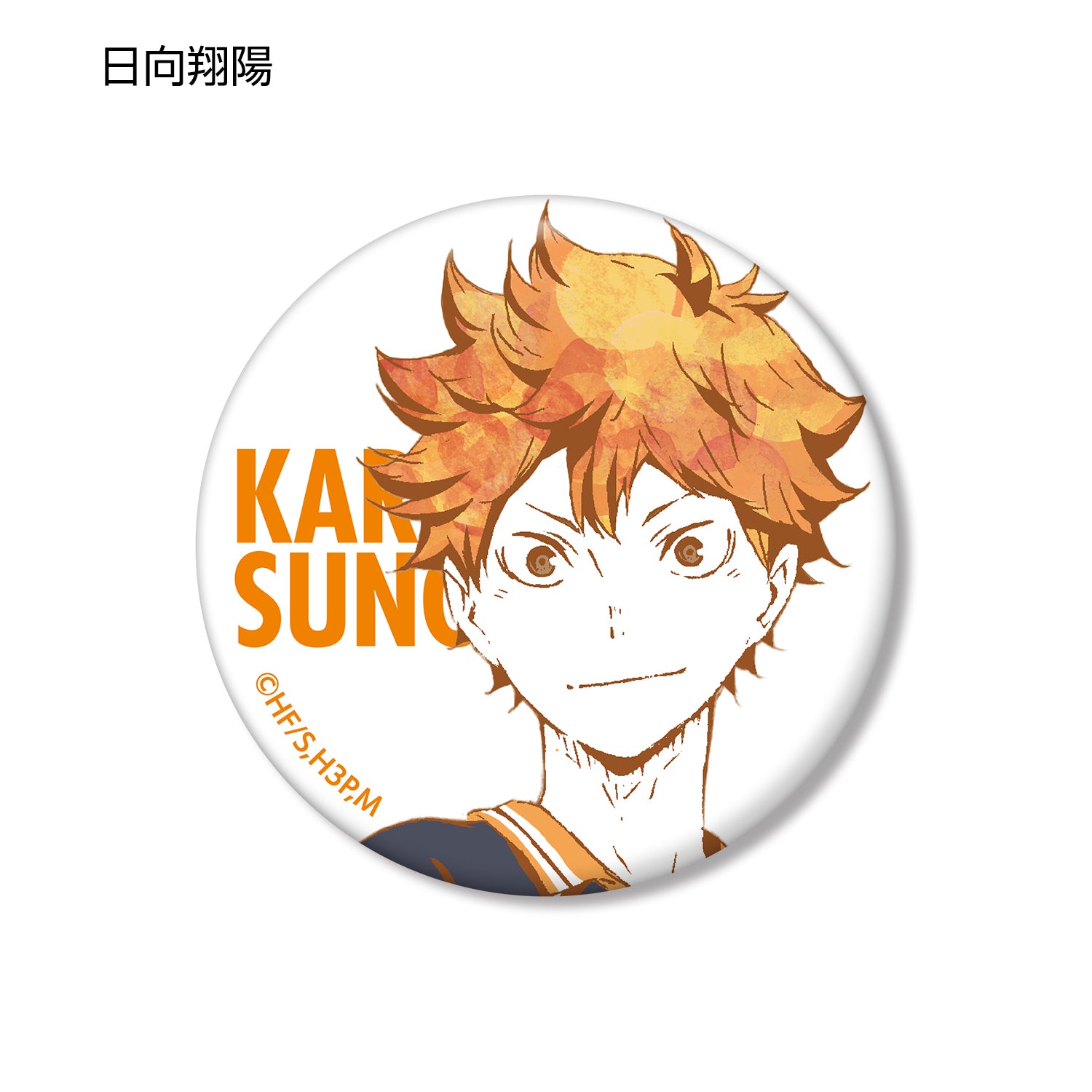 ハイキュー!!_トレーディング Ani-Art 缶バッジ Ver.A(単位/BOX)