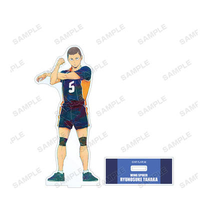 ハイキュー!! TO THE TOP_田中龍之介 Ani-Art 第4弾 BIGアクリルスタンド