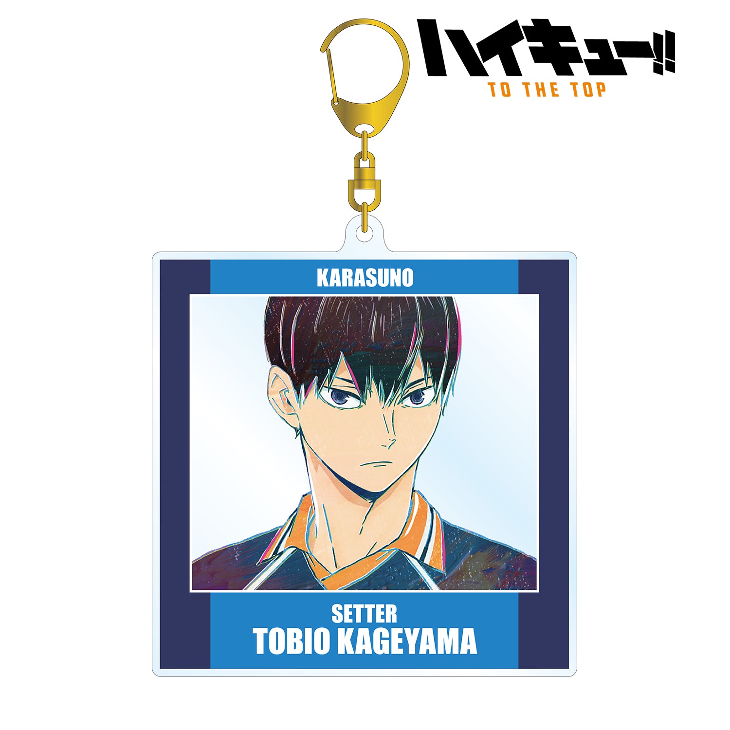 ハイキュー!! TO THE TOP_影山飛雄 Ani-Art 第4弾 BIGアクリルキーホルダー