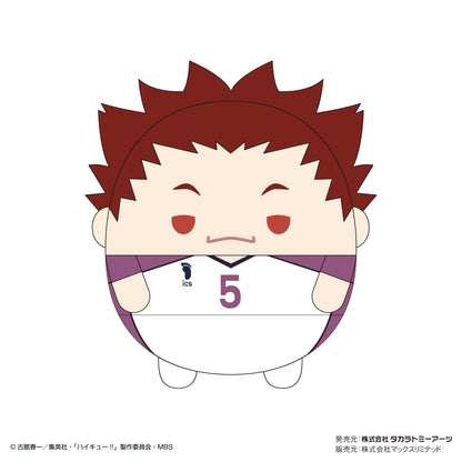 ハイキュー!!_ふわコロりん5 1BOX