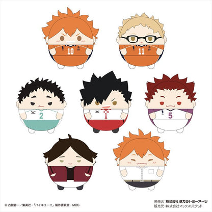 ハイキュー!!_ふわコロりんMsize5 A 日向翔陽